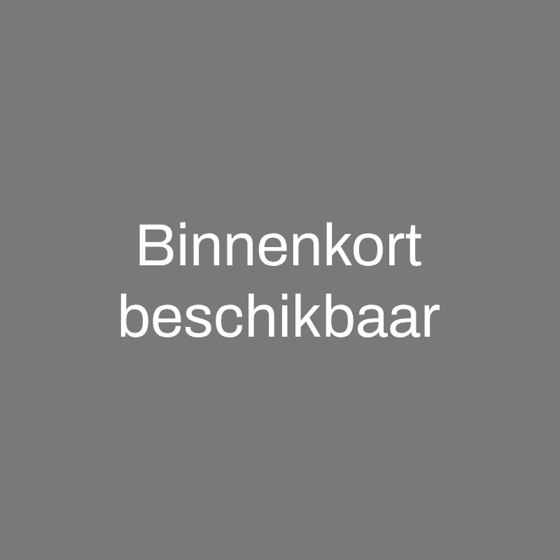gietijzeren wenteltrap Reims de Luxe